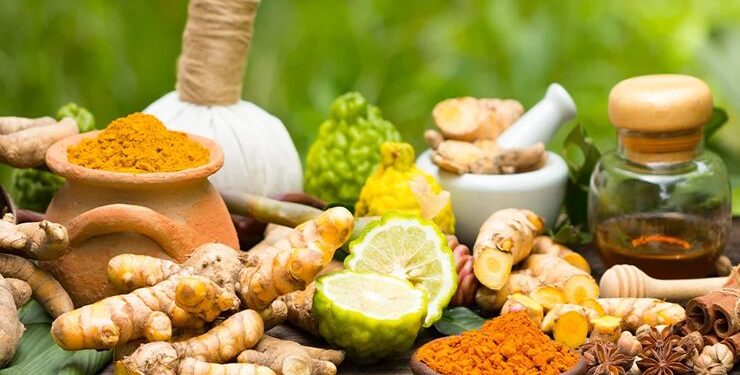 പ്രകൃതിയിൽ നിന്നും നേട്ടം കൊയ്ത വിനയം