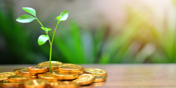 സമ്പത്ത് അൺലോക്ക് ചെയ്യുക: മ്യൂച്വൽ ഫണ്ടുകൾ വഴി