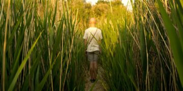 സുരക്ഷിത മേഖലകൾ വിട്ടു പോവുക…