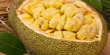 ചക്കയിൽ നിന്നും വിഭവങ്ങൾ തീർത്ത് ഇന്ദിരാ ചാക്കോ…