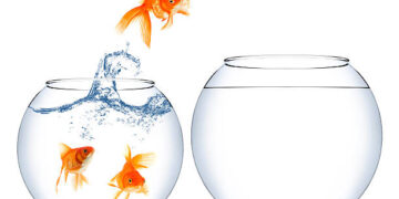 മൈൻഡ് സെറ്റും ബിസിനസും – വിജയത്തിന്റെ രഹസ്യം  !!!