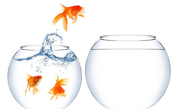 മൈൻഡ് സെറ്റും ബിസിനസും – വിജയത്തിന്റെ രഹസ്യം  !!!