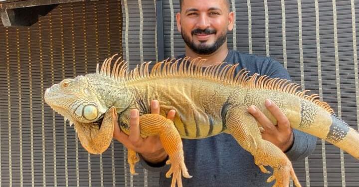 ഡ്രീം കേക്കുകളിൽ വ്യത്യസ്തത നിറച്ച് Rizu’s Cake Bytes !