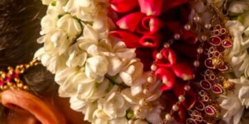 സൗന്ദര്യ ശില്പി നൈലോ