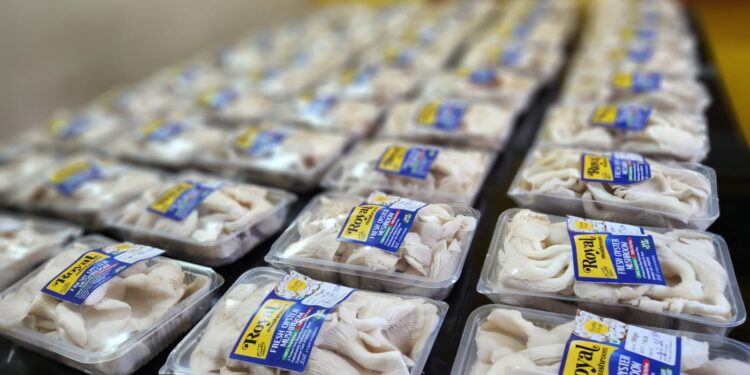 ചിപ്പിക്കൂൺ കൃഷിയിൽ തൻസീറിന്റെ വിജയഗാഥ