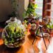 Nature in a Bottle