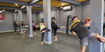 Learning Martial Arts Through a Syllabus