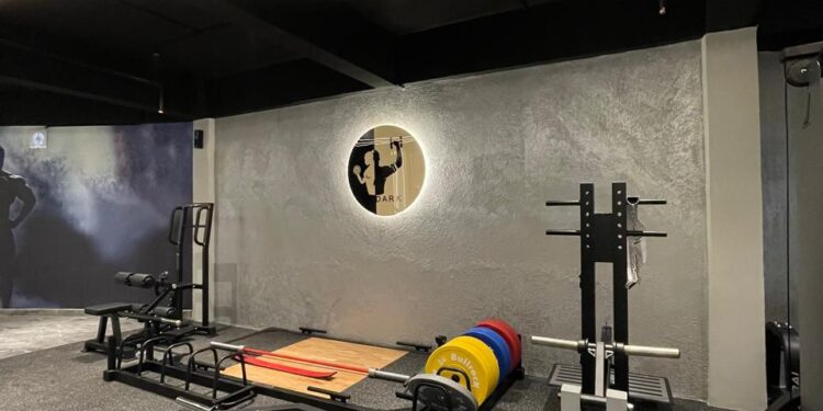 Fitness & Wellness: The Journey of Dark Gym City