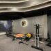 Fitness & Wellness: The Journey of Dark Gym City