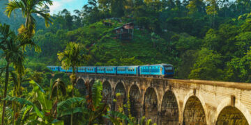 Travel: A Journey Where Your Venture Grows With You