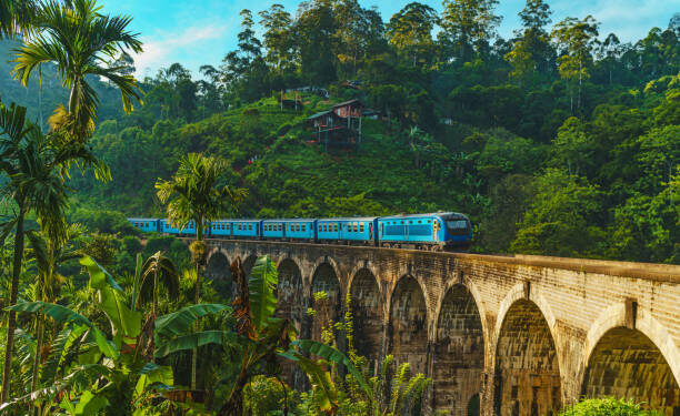 Travel: A Journey Where Your Venture Grows With You