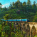 Travel: A Journey Where Your Venture Grows With You