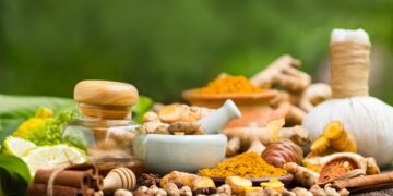 Karkidakam: The Month of Ayurvedic Healing and Restoration