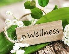 Career and Well-being