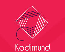 Weaving Dreams into Reality…