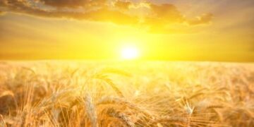 The Richest Man Who Ever Lived