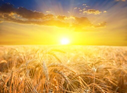 The Richest Man Who Ever Lived